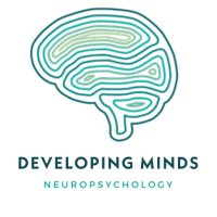 Developing Minds Neuropsychology Gold Coast