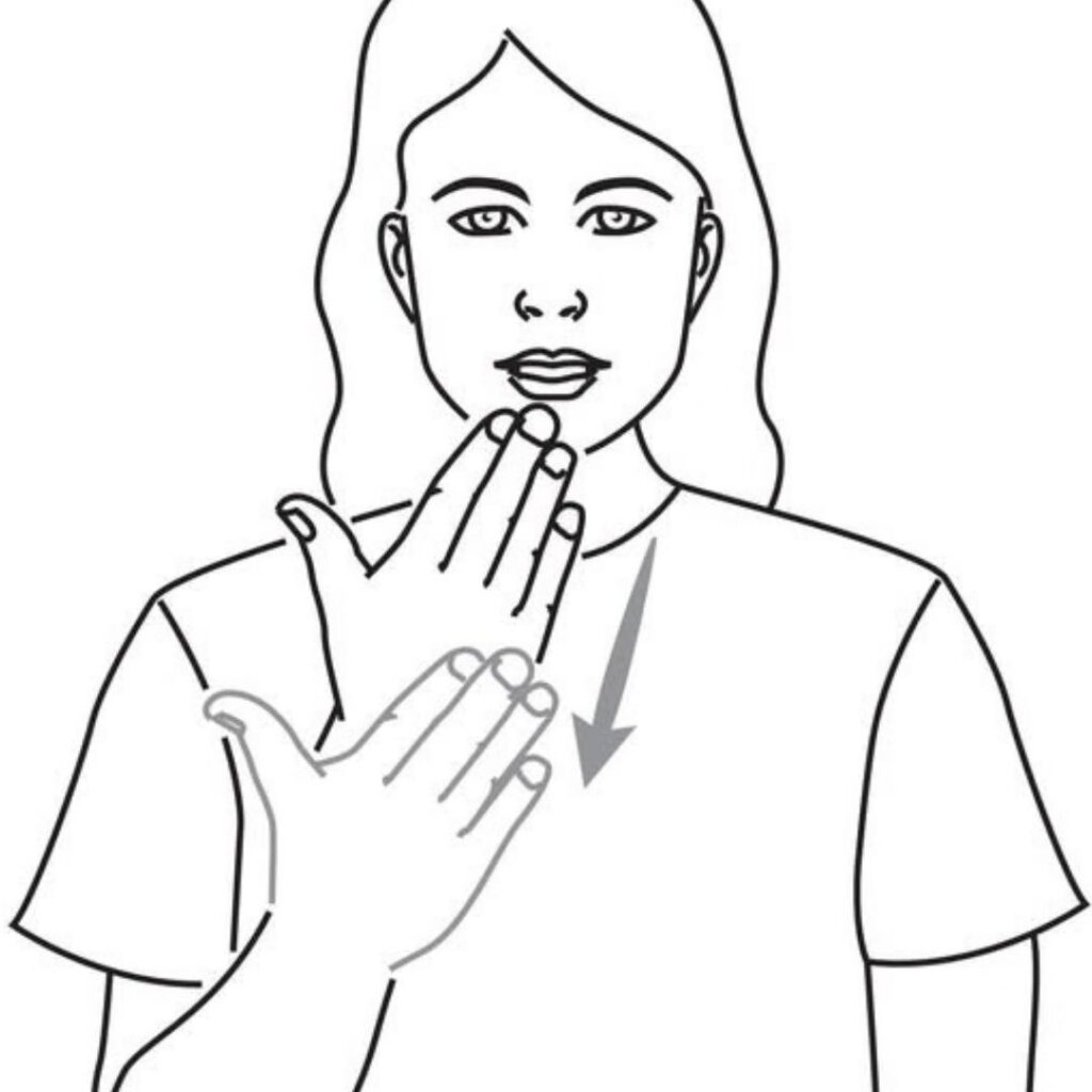 International Day of Sign Languages